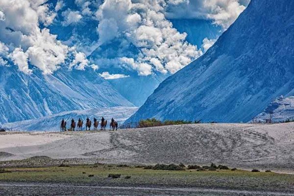 Nubra Valley, Ladakh